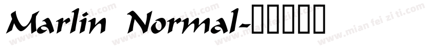 Marlin Normal字体转换